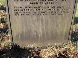 image of grave number 433221
